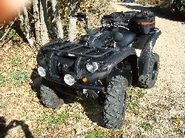 Quad occasion : YAMAHA Grizzly 550 camo