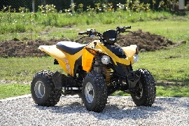 Quad occasion : CAN-AM BOMBARDIER DS 250 