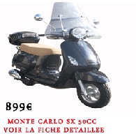 Concessionnaire / Garage / Magasin Moto, Scooter, Quad, Buggy / SSV nagscooter à Saint-Ouen